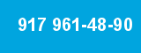 917 961-48-90